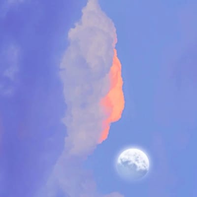 Lance Gokongwei avatar